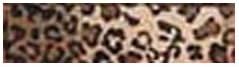 Tan Leopard Animal Print Shoulder Seat Belt Pads - PAIR
