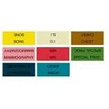 Ames Large Laminated Examination Labels, 1-1/4 x 3, GU, Orange, 500/Box LAGU / ASELAGU