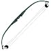 Firestar Compound Bow (EA)