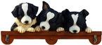 Border Collie Calendar Caddy 2008