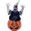 Carolina Panthers 16" Fiber Optic Ghost - NFL Football