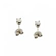 1/4 CTTW Round Diamond Stud Earrings in 14K White Gold 