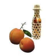 Apricot Rum Delight Fudge (3 Pounds) by Exquisite Fine Candy & Gifts
