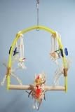 Zoo Max DUS300M Fun Zone Acrylic Perch Medium 14 in