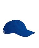 Champion Brushed Baseball Cap. C4001