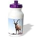 Farm Animals - Nubian Goat - Water Bottles