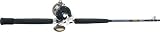 Fin-Nor Sportfish/Cabela's Salt Striker Boat Casting Combo
