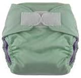  : Swaddlebees Aplix All In One Cloth Diaper, Large, Sage