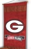 Georgia Bulldogs MVP Wall Hanging - (29.5x45)