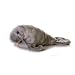 Plush Manny Manatee Mini Flopsie 8