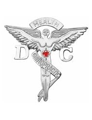 NursingPin - Doctor of Chiropractic Medicine DC Graduation Pin with Ruby in Silver