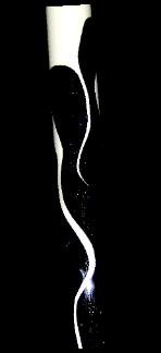 21w1F2RJRKL Dance Pole Stripalicious Free Bottle of Mighty Grip