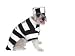 Halloween Prisoner Costume Large