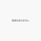 花園工具 VA線ストリッパ6003VA用替刃 603