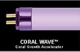Wavepoint Coral Wave 54w 45 Ho T5 Coral Growth Lamp (Catalog Category