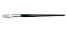 Charles Leonard Inc. Flat Brushes with Short Handle, #16, 0.625 Inch, White Bristle, 1 Dozen (73116)