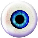 Buy Eye Ball