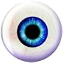 Eye Ball Viz-A-Ball