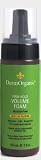 DermOrganic Firm Hold Volume Foam 5oz img