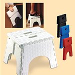 EZ Foldz TM Step Stool