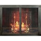 Shaker Stock Masonry Fireplace Door