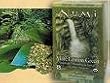 Mate Lemon Green Tea - Rainforest Green - 18 - Bag Mate Lemon Green Tea - Rainforest Green - 18 - Bag