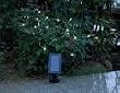 SOLAR FESTIVAL LIGHT