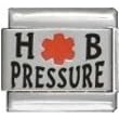 Clearly Charming High Blood Pressure Alert Red Enamel Medical Symbol Laser Etched Italian Charm