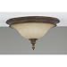 Alderson Collection 17 Wide Ceiling Light Fixture