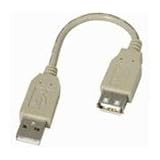 6 Inch Fully Rated USB Extension Cable A-A