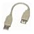 6 Inch Fully Rated USB Extension Cable A-A