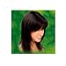 Naturtint Hair Color, 5n Black Brown