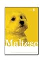 Maltese Dog Grooming Instructional How To DVD Video and Equipment Guide