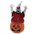 Tampa Bay Buccaneers 16" Fiber Optic Ghost - NFL Football