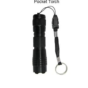 Waterproof LED Flashlight Pocket Torch Camping Fishing Emergency - you get 2 of them. by