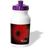 WhiteOak Photography Inspirational Floral Prints - Passion Red Gerbera Daisy - Water Bottles