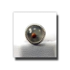 Mustard Seed Tie Tack (Silver) - Christian Lapel Pin - A Christian Clothing Accessory - Christian Jewelry to Wear to Church - Great Gift Idea - Religious and for Anyone - Wonderful for Neck Ties and Clothing - Inexpensive Item - Encased Mustard Seed on a Silver Tac - Religious Meaning and Purpose - Jesus Spoke in Parables of the Mustard Seed - Mustard Seed Jewelry
