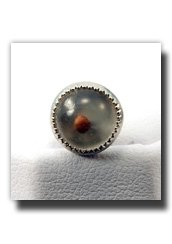 Mustard Seed Tie Tack (Silver) - Christian Lapel Pin - A Christian Clothing Accessory - Christian Jewelry to Wear to Church - Great Gift Idea - Religious and for Anyone - Wonderful for Neck Ties and Clothing - Inexpensive Item - Encased Mustard Seed on a Silver Tac - Religious Meaning and Purpose - Jesus Spoke in Parables of the Mustard Seed - Mustard Seed Jewelry