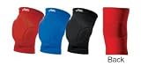 Asics ZD361 Unrestrained Wrestling Kneepad (Call 1-800-234-2775 to order)