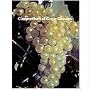 Compendium of Grape Disease (Disease Compendium Series of the American Phytopathological) (Disease compendium series of the American Phytopathological Society)