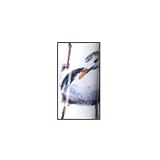 Sabre Seagull Dessert Spoon - 7 1/2 in./SEAGULL8