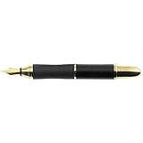 Sensa Meridian Noir and Gold Fine Point Fountain Pen - N14308