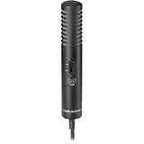 XY Stereo Condenser Microphone