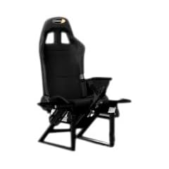 Playseats Flight Simulator