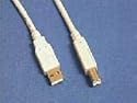 ITC10006 USB 2.0 Kabel Stecker A auf Stecker B 3m l?nge - f?r zb. 
USB Drucker geeignet