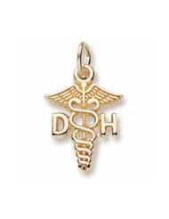Dental Hygienist Charm