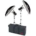 AKC320K 320 W/S Basic Studio 2-Light Kit, AC Only