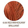 Umberto Beverly Hills U Color 6.66 - Red Mahogany Bri