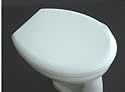 WC Deckel Toilettendeckel WC Sitz COMO Thermoplast WC-Sitz, Edelstahlscharniere, 43,5 x 37 cm