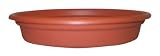 Duraco Products SDC16 TC Plastic Dura Cotta Saucer 16 (Pack of 6)